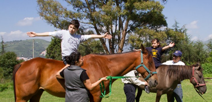 Ejercicios Equinoterapia