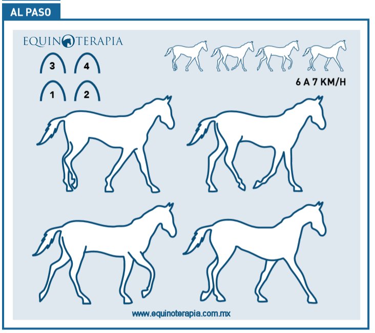 Trote en Equinoterapia (Al Paso)