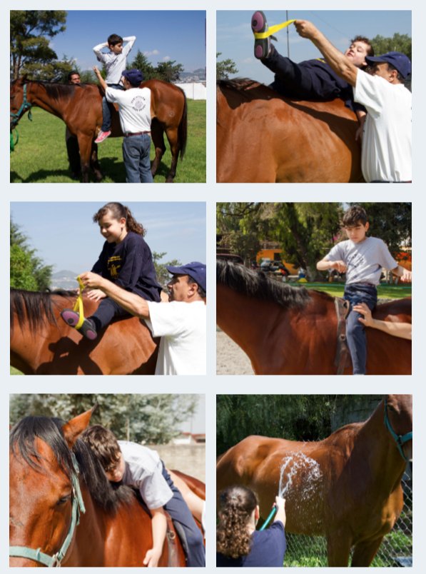 Equinoterapia Rehabilitación